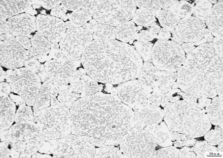 不銹鋼精密管的金相檢驗(yàn).png 不銹鋼精密管的金相檢驗(yàn).png